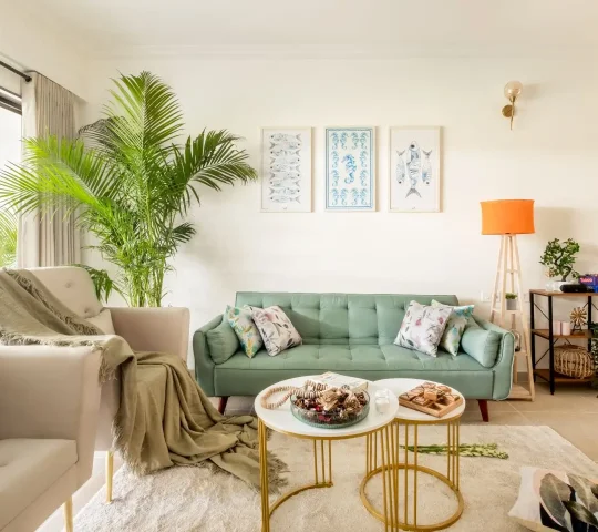 605 Tropical – 1BHK Apartment